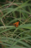 170716_1301.jpg