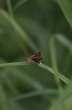 170716_1459.jpg