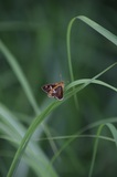 170716_1504.jpg