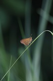 170716_1511.jpg
