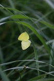 170716_1606.jpg