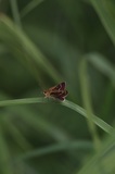 170716_44.jpg