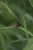 170716_45.jpg
