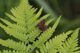 170716_54s.jpg