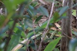 170722_44.jpg