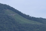 170816_02d.jpg