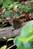 170827_krm01.jpg