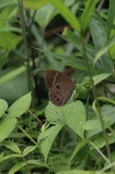 170827_krm03.jpg