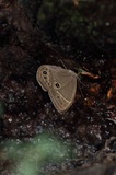 170827_krm04.jpg