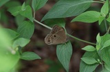 170827_krm05.jpg