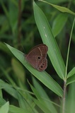 170827_krm06.jpg