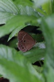170827_krm10.jpg