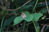 170903_143255.jpg