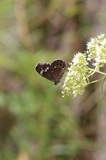 170909_26.jpg