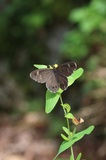 170909_89.jpg
