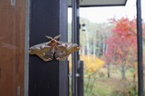 171015hmym2.jpg