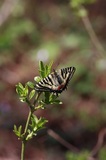 180422_24.jpg