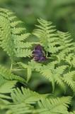 180607_02.jpg