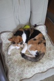 180609_035.jpg