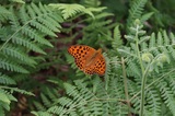 180701_07.jpg