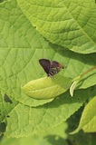 180701_31.jpg