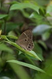 180715_051.jpg