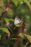 180810_016.jpg