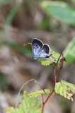 180810_113.jpg