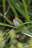180811_054.jpg