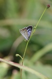180811_114.jpg