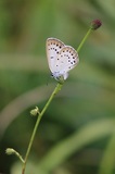 180811_115.jpg