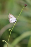 180811_116.jpg