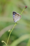 180811_119.jpg