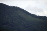 180816_02.jpg