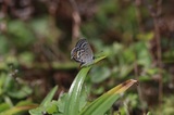 180916_09.jpg