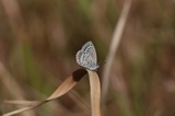 181018_19.jpg