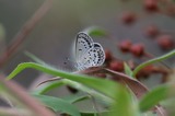 190120_100919-3.jpg