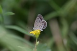 190120_100919-4.jpg