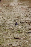 190512_29.jpg