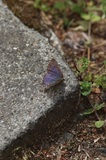 190512_37.jpg