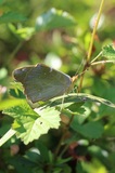 190524_001.jpg
