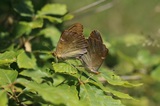 190524_070.jpg