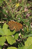 190524_189.jpg