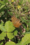 190524_193.jpg