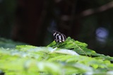 190609_06.jpg