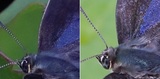 190611-13.jpg