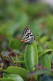 190611_062.jpg