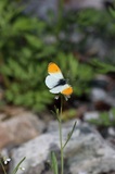 190618_003.jpg