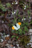190618_027.jpg