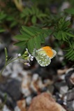 190618_055.jpg